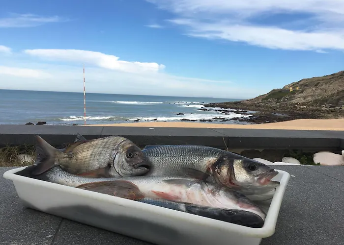 فندق Promar Eco & 3*